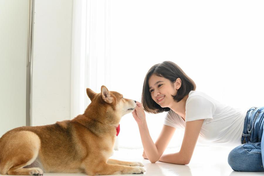 愛犬の目やにが心配…原因や日常的なケア方法、病院受診のタイミングは？