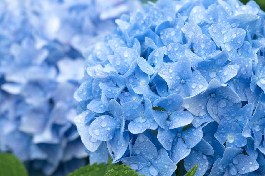 天気痛とは?頭痛の原因や天気予報の見方、自分に合ったセルフケアを知って痛みと上手に付き合おう