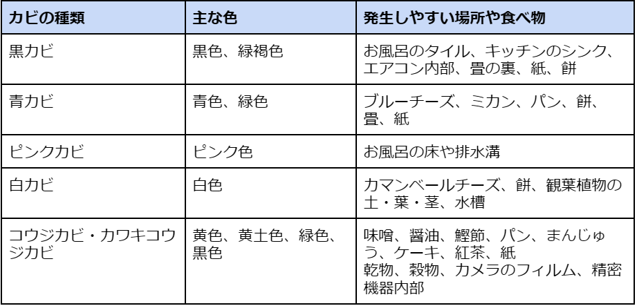 身近なカビの種類・特徴一覧