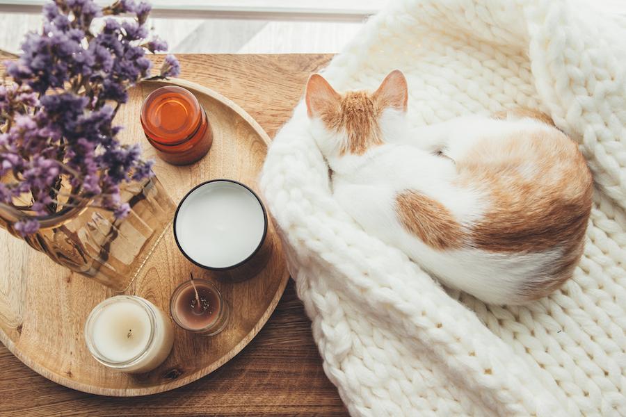 【医師監修】生理中の冷えにカイロのすすめ。女性の心身をあたためるべき理由とつらい期間を乗り越える方法