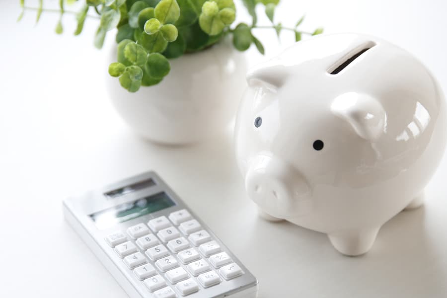 ゴキブリ駆除は自分でできる!業者依頼相場1万円以上を節約し、確実に退治する方法を徹底ガイド