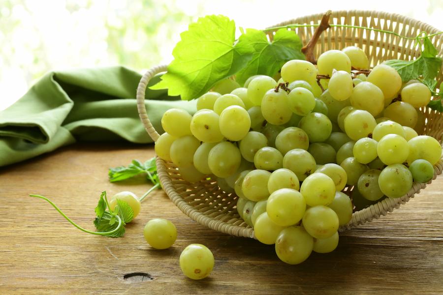 グレープシードオイルとは?グレープシードオイルの産地や使い方、どこに売っているかも解説