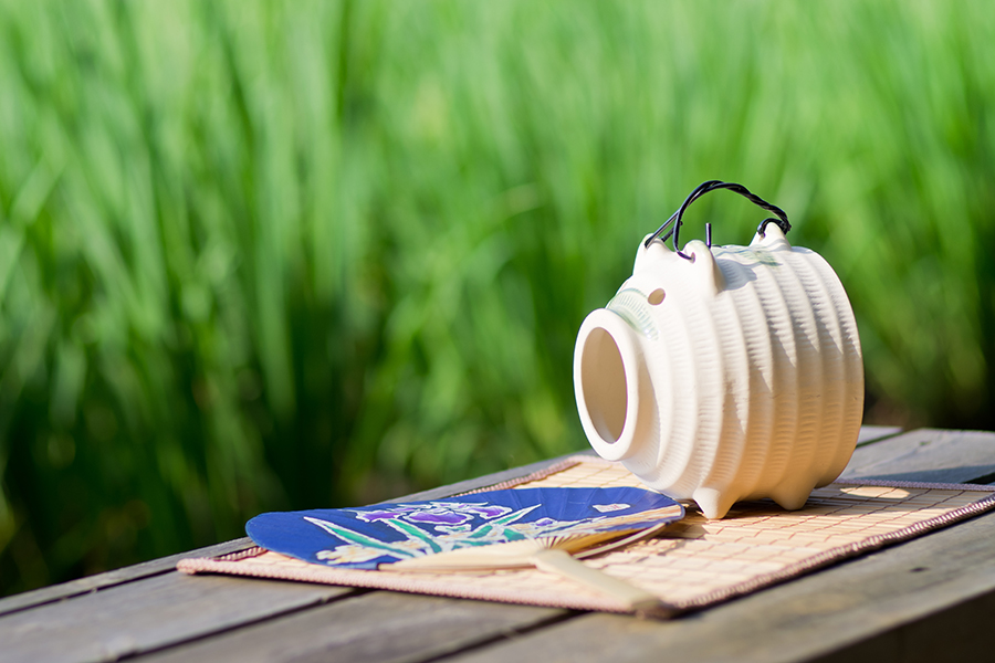 多種多様な虫除けグッズを紹介。梅雨から夏頃急増する害虫対策グッズを選ぶポイント・使い方について紹介