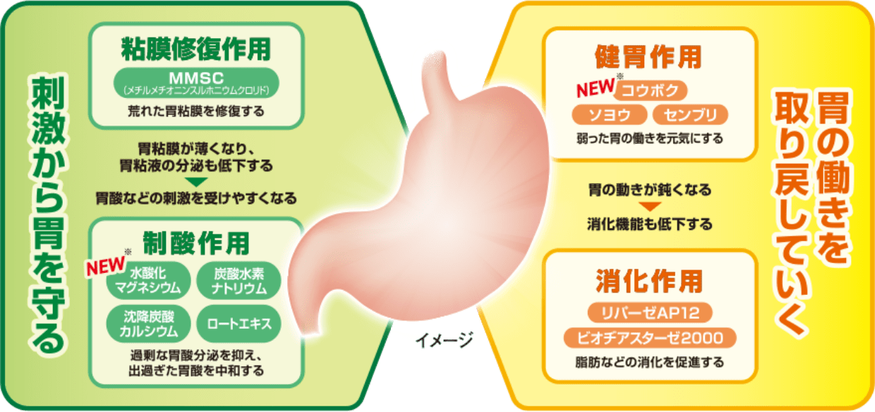 弱った胃を元気に【健胃作用＋消化作用】