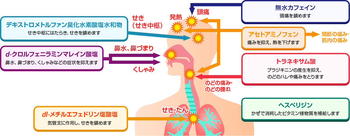 かぜの症状と各有効成分のはたらき＜イメージ図＞