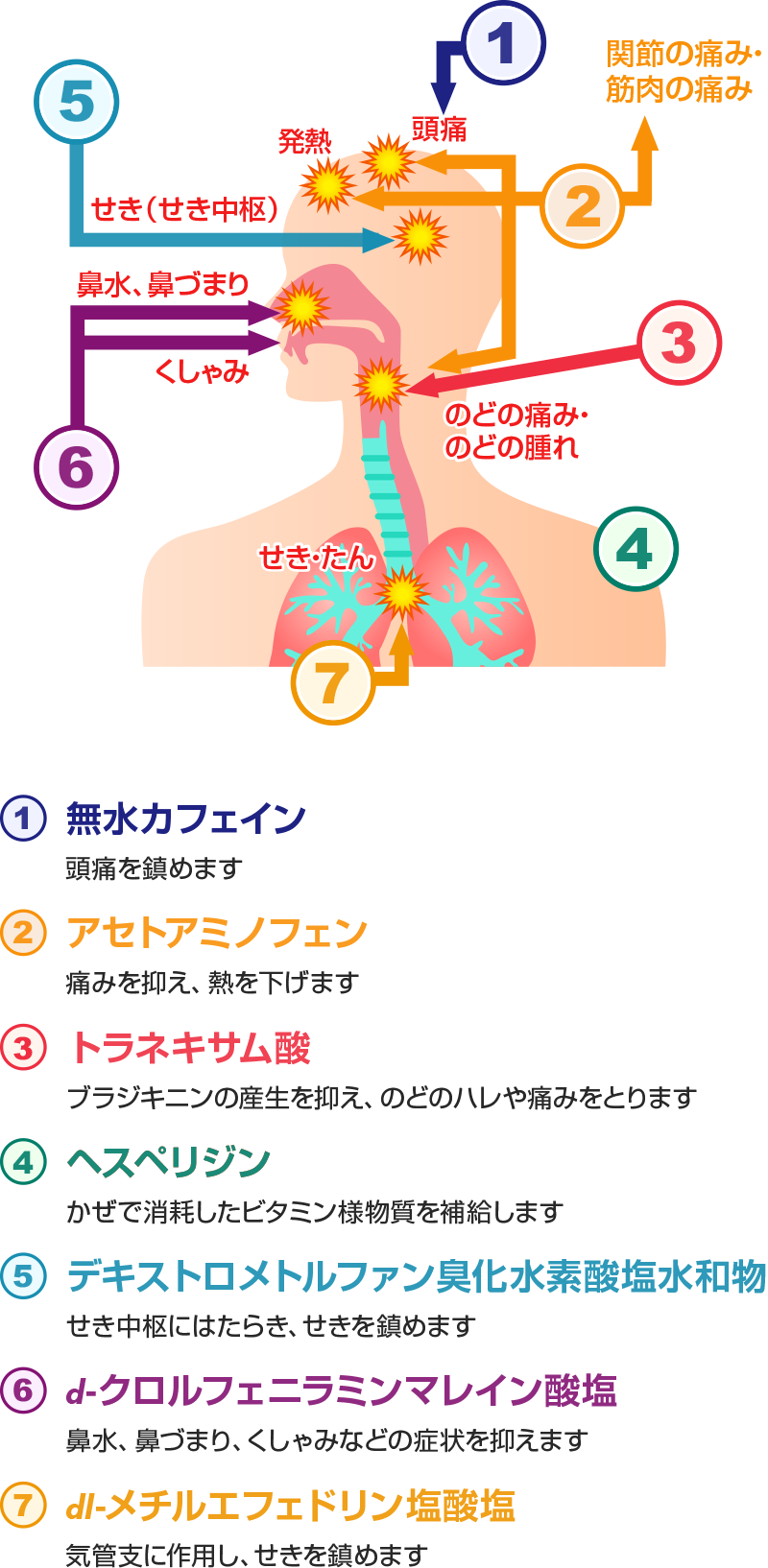 かぜの症状と各有効成分のはたらき＜イメージ図＞