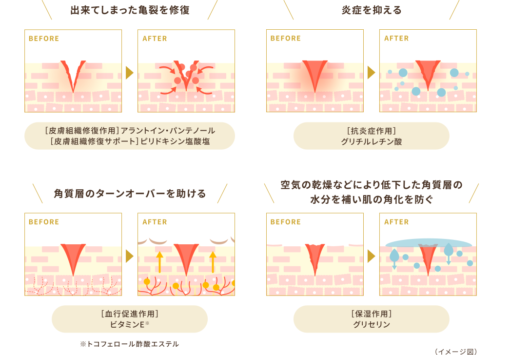 4つの作用で、ひび・あかぎれを修復