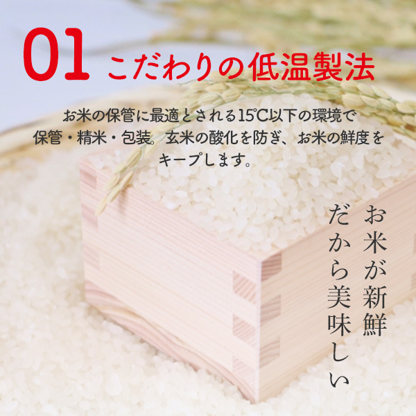 アイリスオーヤマ 低温製法米のおいしいごはん 国産米100% 180g×10食パック 180g×10食