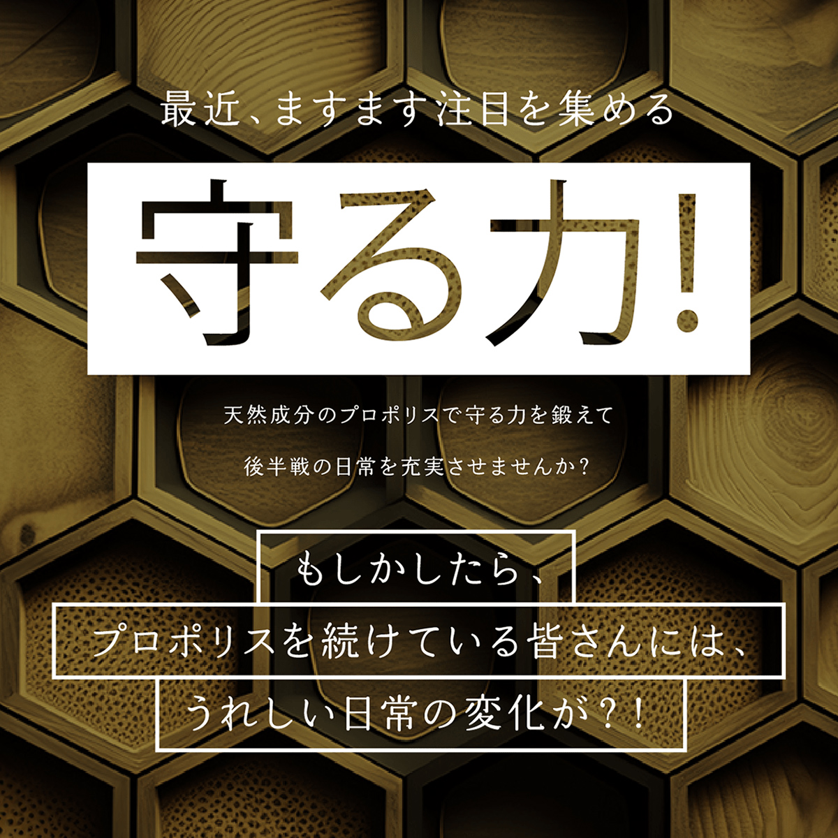 プレミアムクラス　プロポリス　100粒※定期 100粒