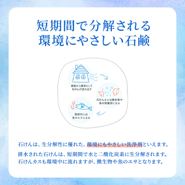 シャボン玉石けん シャボン玉スノール 1000mL[液体洗剤] 1000mL