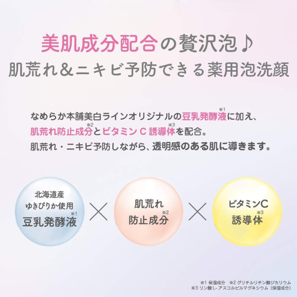 常盤薬品工業 サナ なめらか本舗 薬用泡洗顔（つめかえ用）180ml【医薬部外品】 180mL