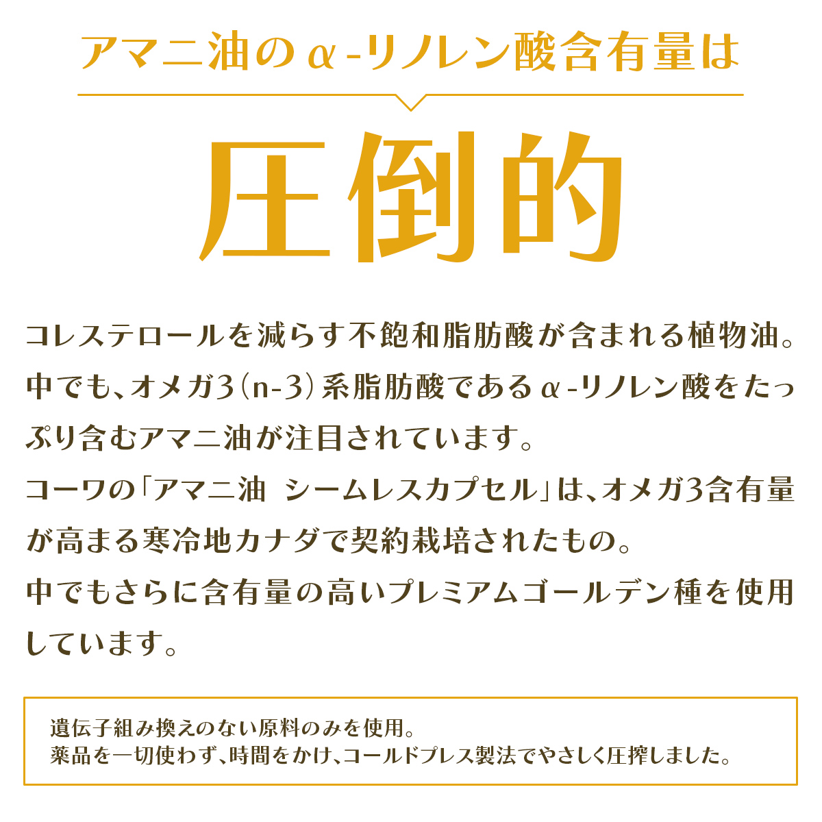 アマニ油（α-リノレン酸）シームレスカプセル 30包 【機能性表示食品】※定期 1個