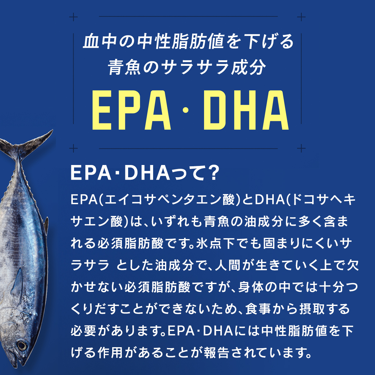 EPA・DHA　シームレスカプセル　30包【機能性表示食品】※ 1個