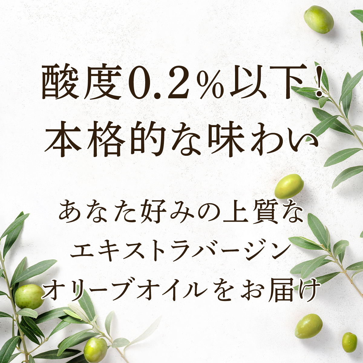 【2本セット】エキストラバージンオリーブオイル　オライブ　ゴールドメダル　230g x 2本 230g x 2本