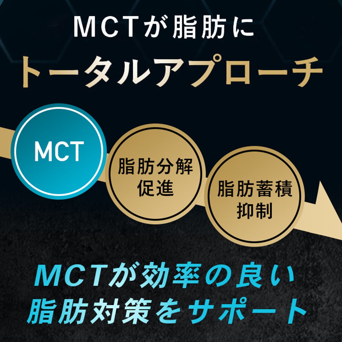 MCTシームレスカプセル 30袋 【機能性表示食品】※2個※定期 2個まとめ