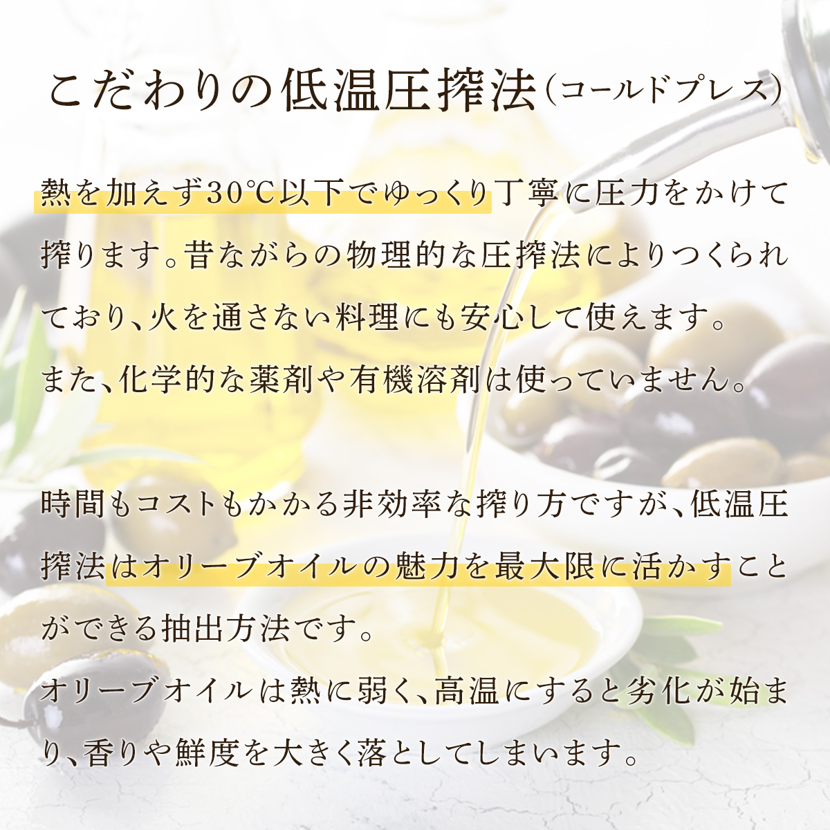 【2本セット】エキストラバージンオリーブオイル　オライブ　ゴールドメダル　230g x 2本 230g x 2本