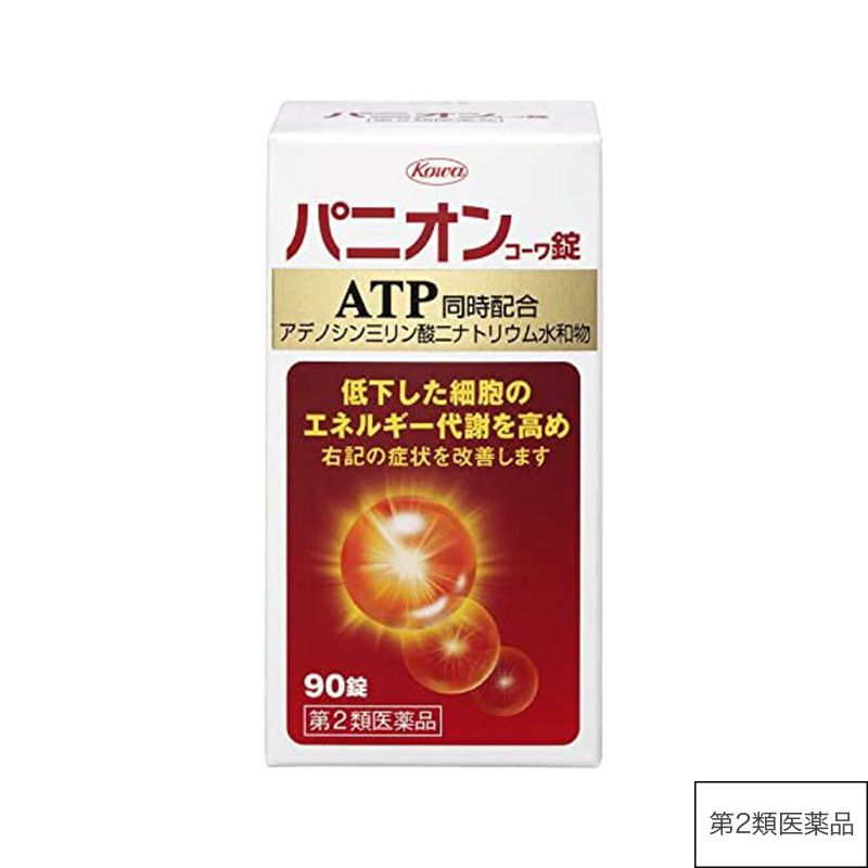 パニオンコーワ錠 90錠【第2類医薬品】