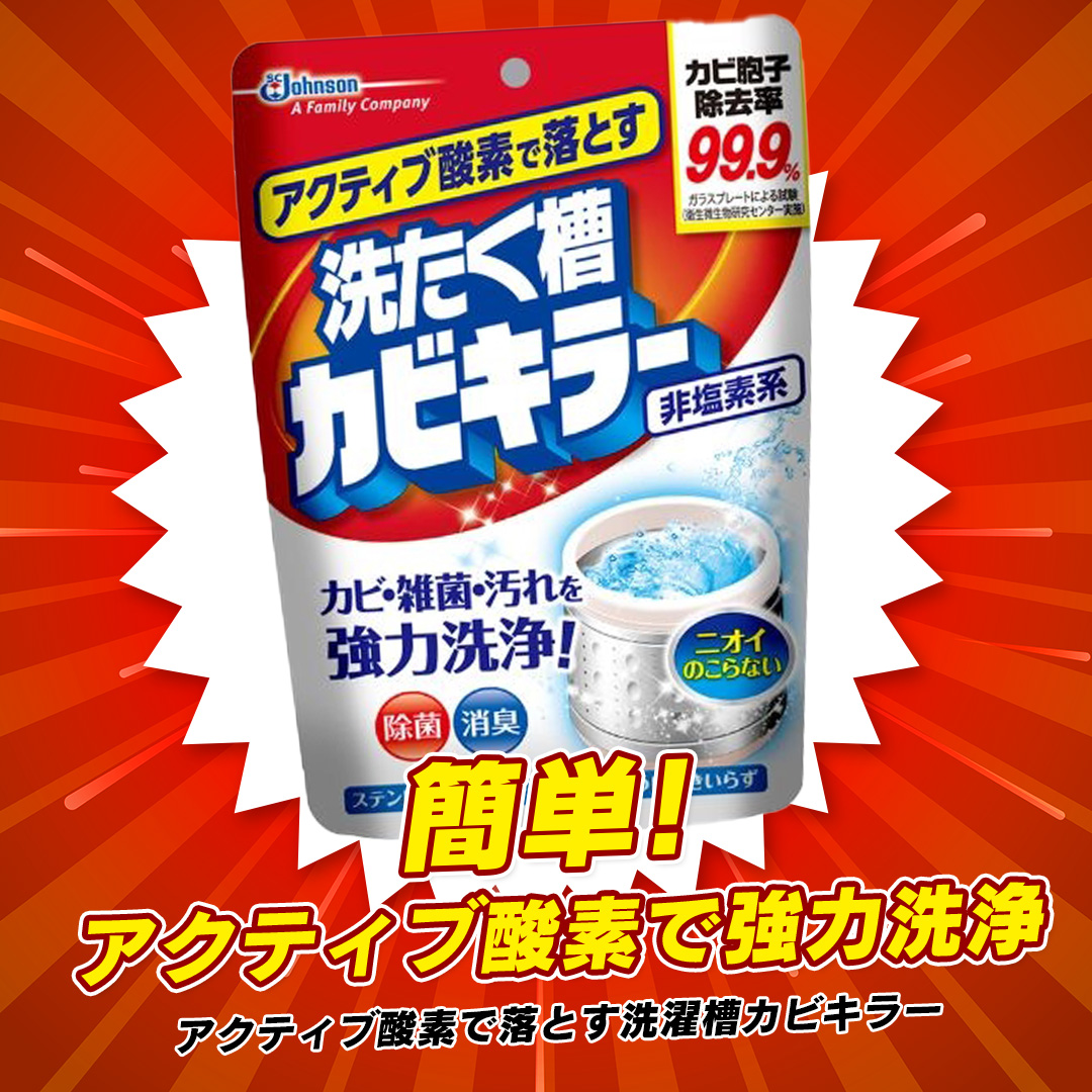 ジョンソン アクティブ酸素で落とす洗濯槽カビキラー 250g