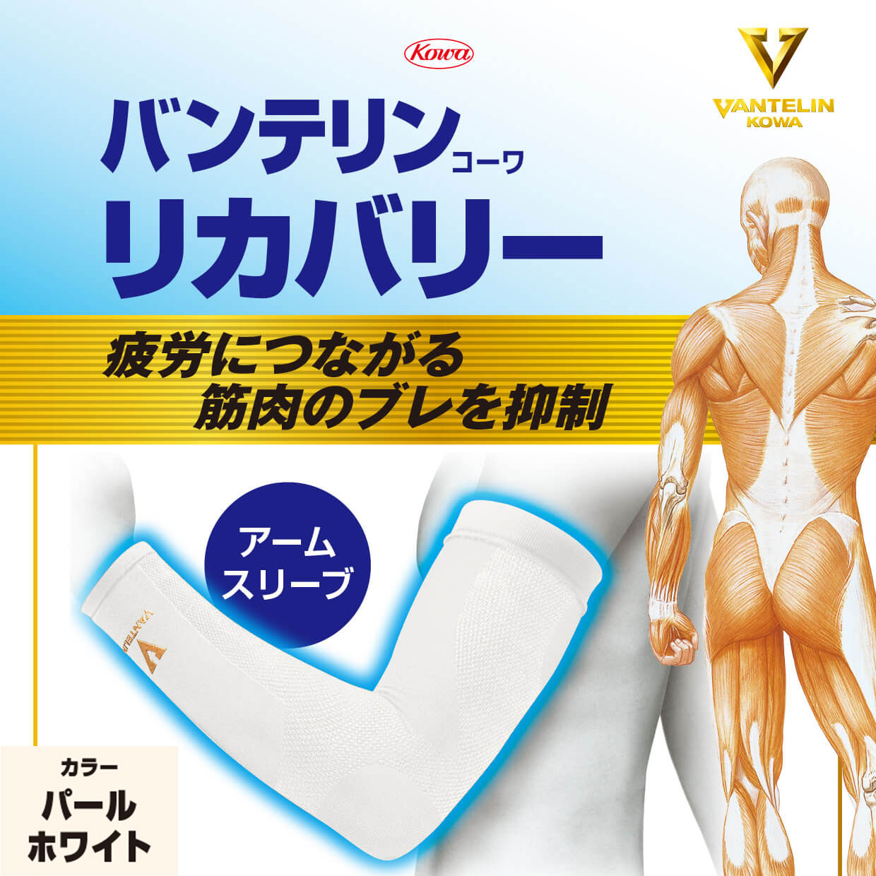 バンテリンコーワリカバリー 腕用 パールホワイト 左右共通2枚入り アームスリーブ