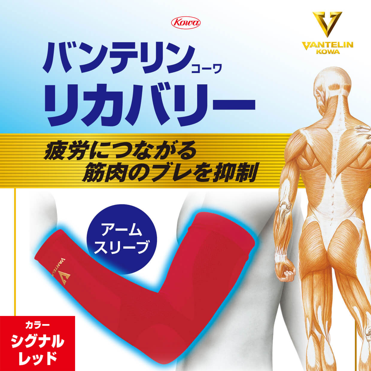 バンテリンコーワリカバリー 腕用 シグナルレッド 左右共通2枚入り アームスリーブ