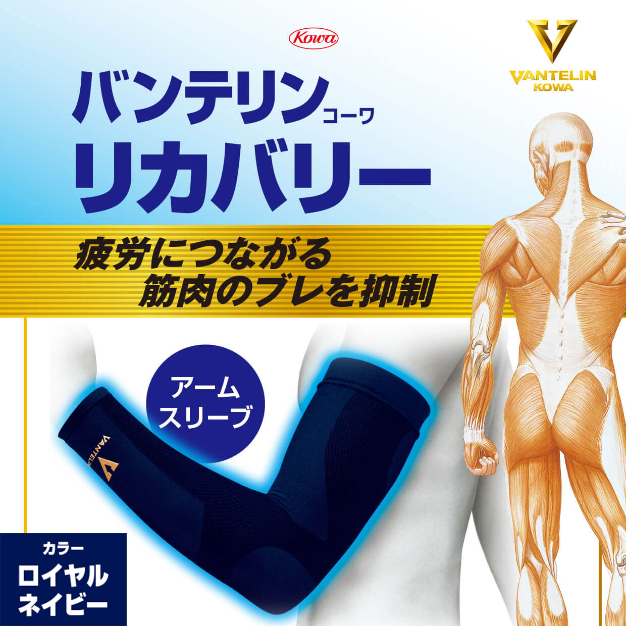 バンテリンコーワリカバリー アームスリーブ ロイヤルネイビー 左右共通2枚入り