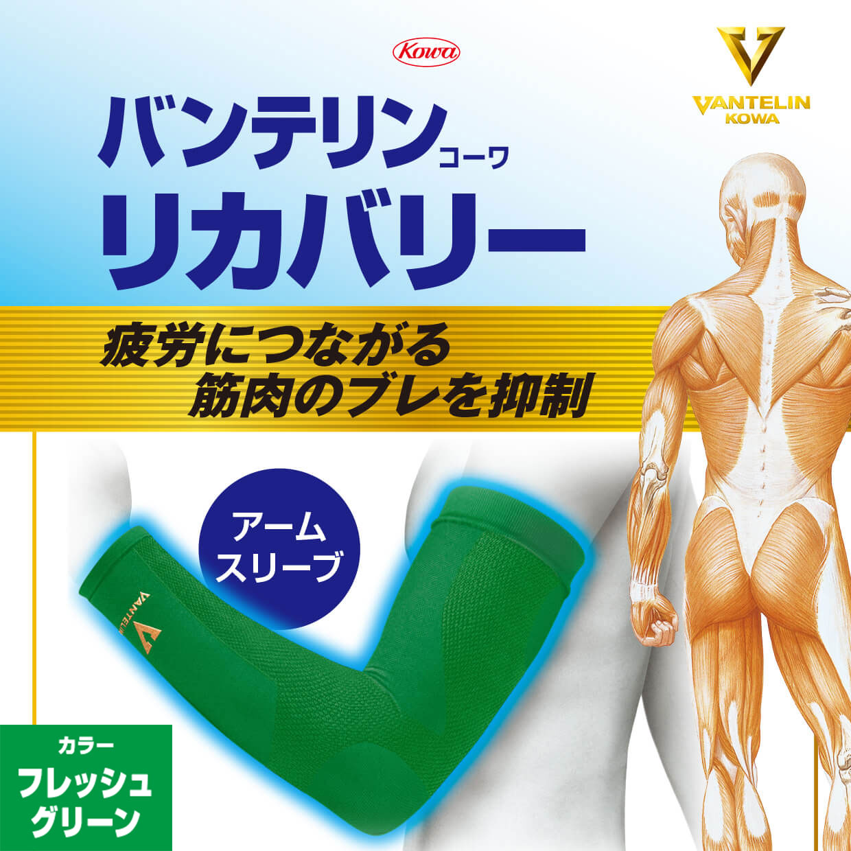 バンテリンコーワリカバリー 腕用 フレッシュグリーン 左右共通2枚入り アームスリーブ