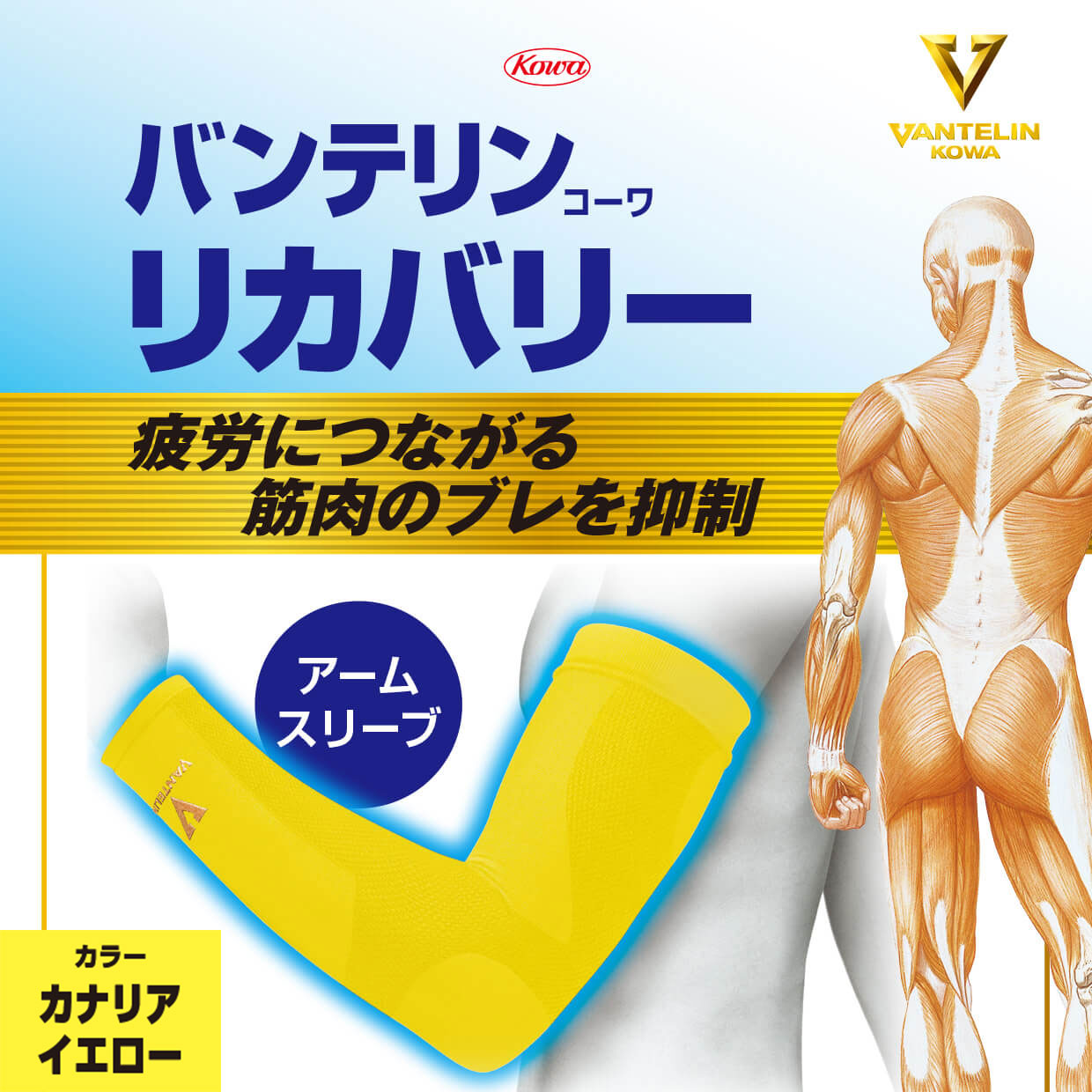 バンテリンコーワリカバリー アームスリーブ カナリアイエロー 左右共通2枚入り
