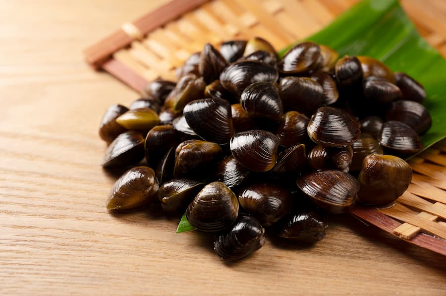 しじみの身は捨てないで!正しい砂抜き方法とは!?冷凍保存がおすすめな理由と味噌汁以外のレシピも紹介