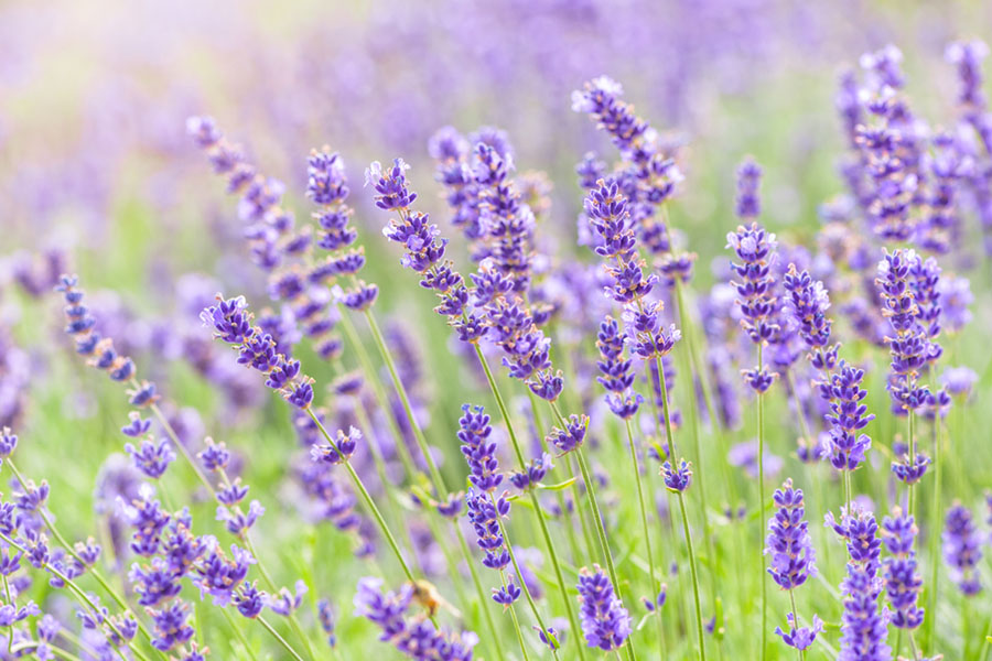 「生理用品とは何か」歴史をたどりながら解説。フェムテック・フェムケアの広がりが生理にあたえる影響とは?