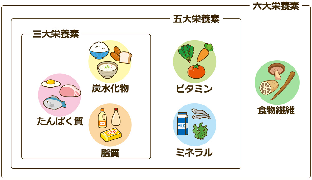 健やかな体をつくる栄養素のお話 知っておきたい栄養素の働き Kowa コーワ ハピネスダイレクト