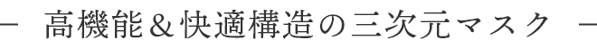 高機能&快適構造の三次元マスク